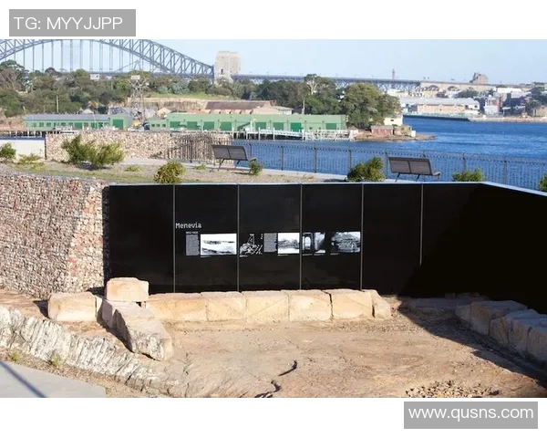 赖斯的影响力与全球政治格局的变迁探讨与分析 赖斯的影响力与全球政治格局的变迁探讨与分析