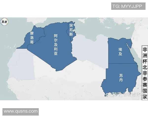 埃及与突尼斯的较量结果揭晓谁将赢得这场激烈对决